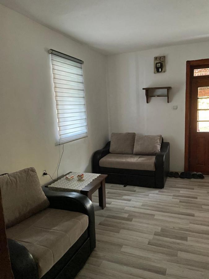 Vikendica Cerovic Villa Kraljevo Bagian luar foto